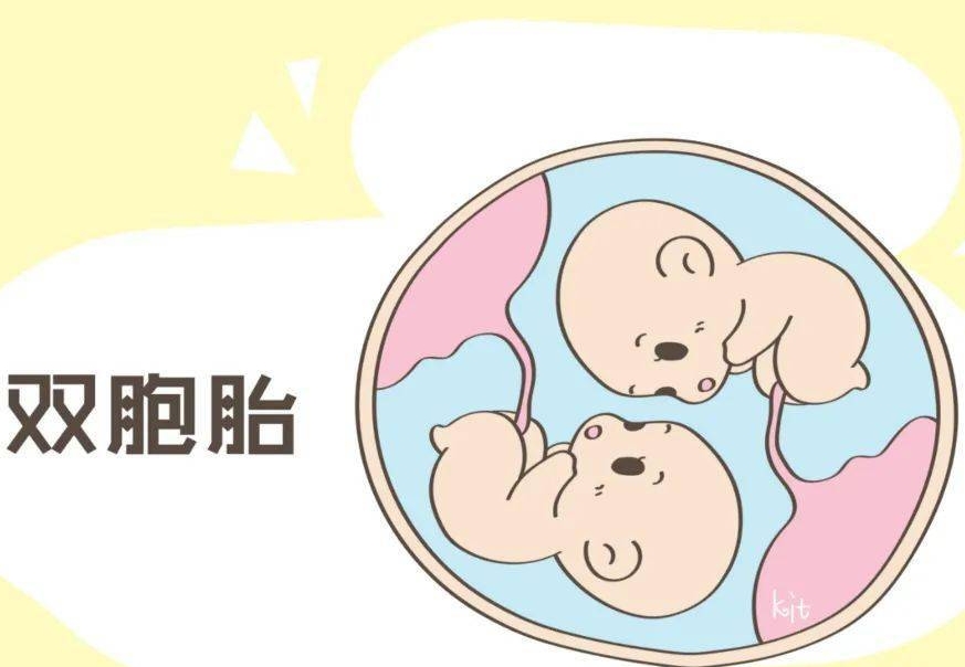 试管婴儿怀双胞胎的风险汇总，五大危害影响都不小