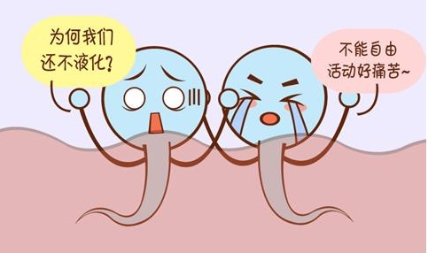 盘点精子不液化对试管婴儿的影响，成功率降低实属意料之中