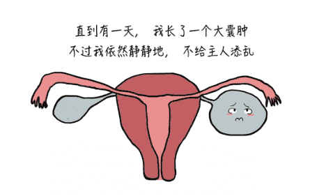 巧克力囊肿做试管用什么方案成功率高，巧囊试管移植方案流程介绍