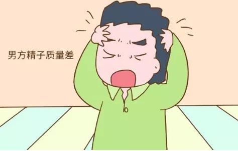 梗阻性无精子症能做体外受精吗?