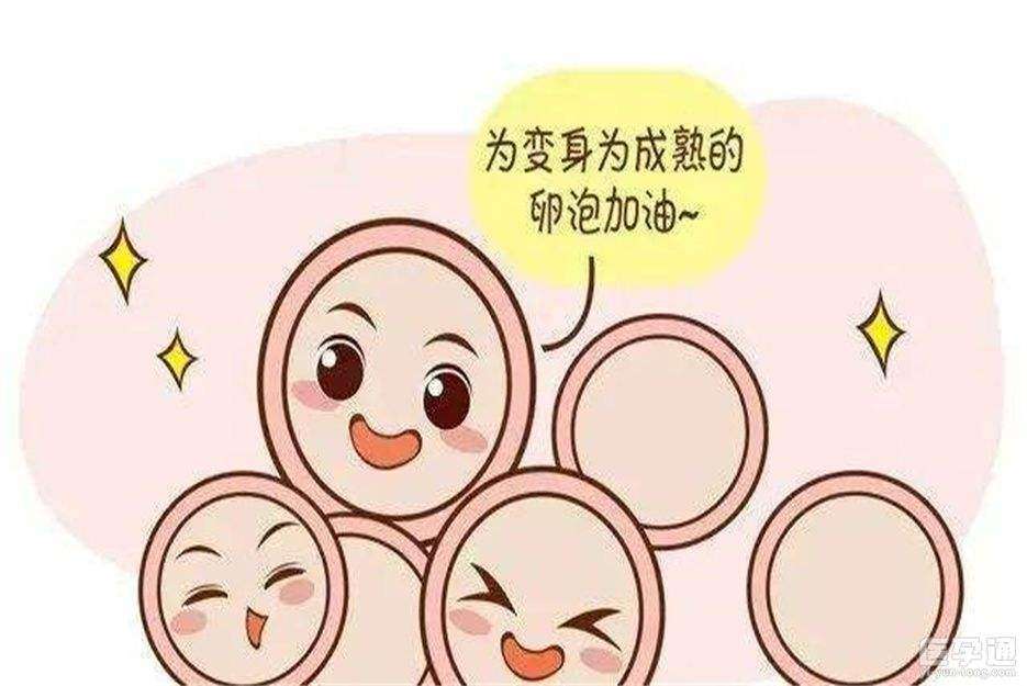 促排卵药物的代表性种类有哪些?