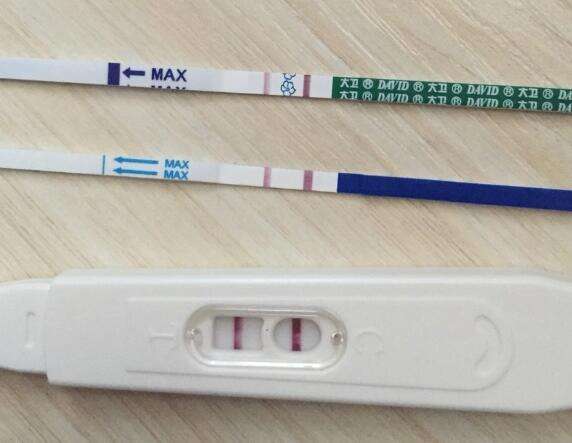 移植后吃泼尼松能促进怀孕