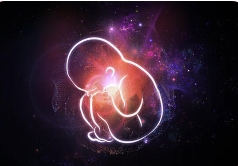 夫妻双方异地分居怎么做试管婴儿?情绪价值非常重要
