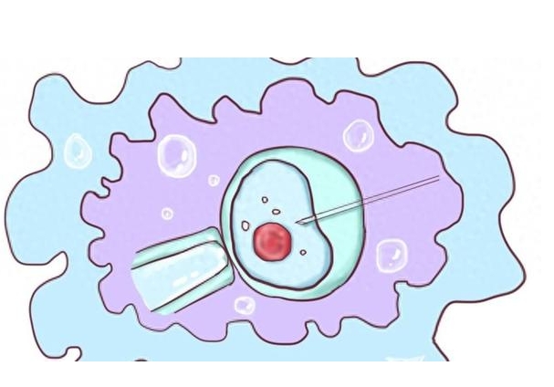 高龄做试管婴儿几率？高龄想要生育是不是必须要做试管？