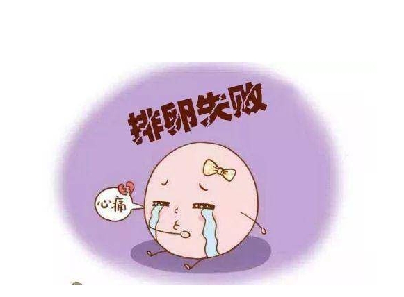 卵巢功能不足还可以做试管婴儿吗？做一次试管要多少钱？