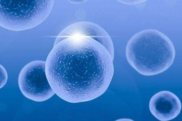 45岁精子质量差做三代试管婴儿可以保证胚胎着床吗？