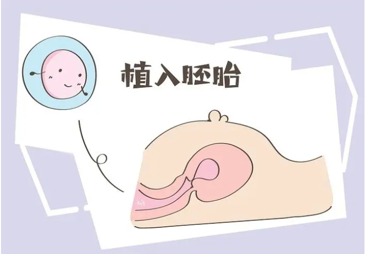 试管移植后调理身体的方法有哪些？