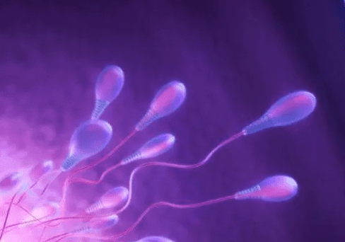 男性精子呈现果冻状应该怎么办？