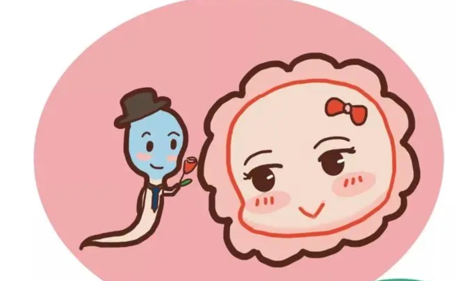 开封兰考县试管婴儿需要什么条件?