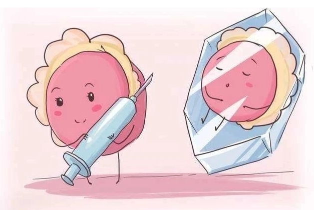 洛阳老城区试管婴儿需要多少钱?