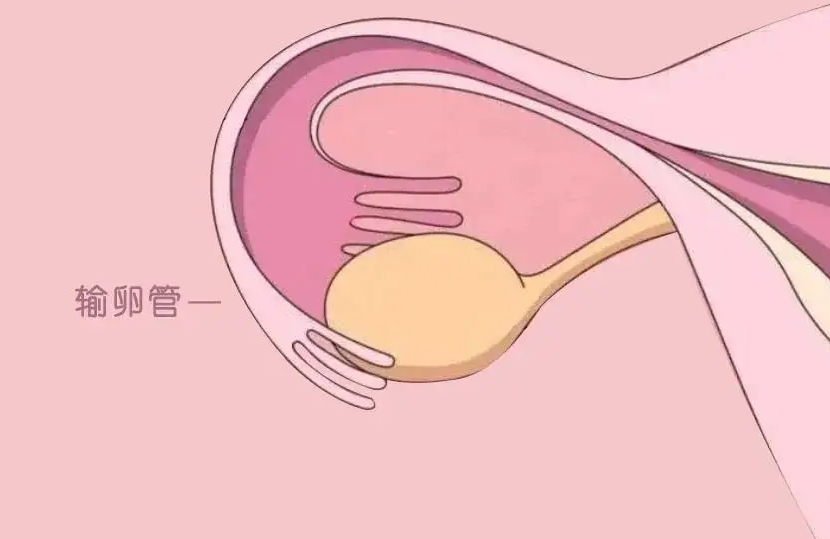 试管轻微腹水可不可以烤神灯且必须治疗吗?	