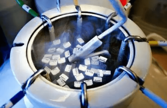 胚胎冷冻时间对试管婴儿的成功率有影响吗？