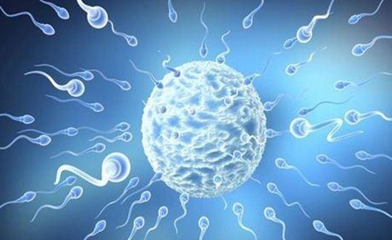 宿迁哪家医院做试管婴儿技术好？一般需要多少钱？	