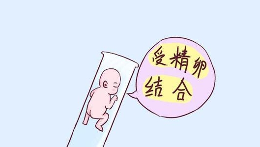 平凉华亭市试管婴儿需要多少钱?	