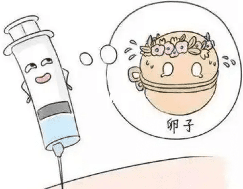 促排期间能否吃大蒜 吃蒜对卵泡生长有影响吗	