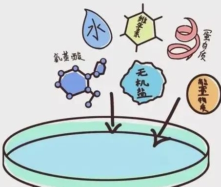 囊胚移植的条件，来看看你符合吗	