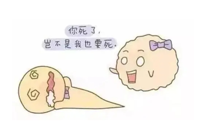 试管婴儿技术在提高死精症患者生育成功率方面取得了显著成果	