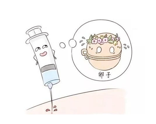 打完破卵针后多久移植胚胎才安全？医生：这个时间点可能会引发争议！	