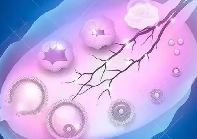 试管连续促排三个月有哪些影响威胁女性健康?	