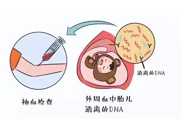 马来西亚做三代试管可以筛查复合杂合吗?	