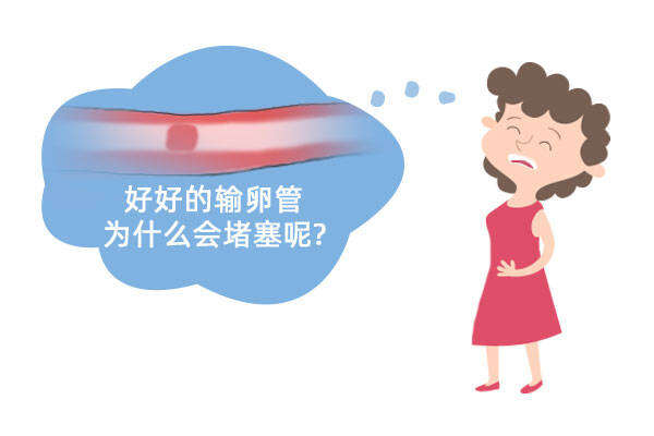 输卵管积水2cm去马来西亚做试管婴儿会成功吗？