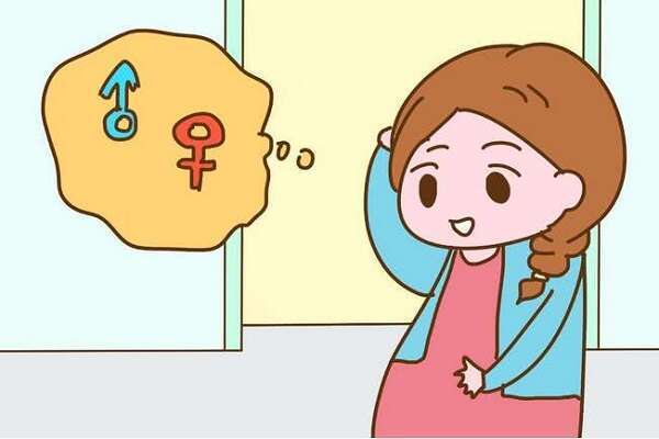 二胎想生男孩免疫抗体阳性做试管能选性别吗？