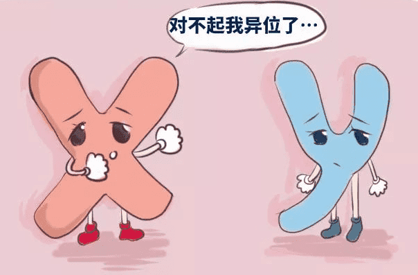 染色体有问题在日本做试管促排流程是什么？