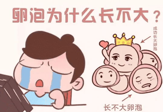 19.png
