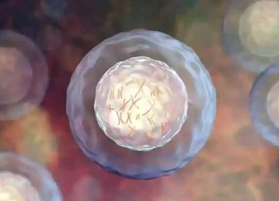 云南试管婴儿成功率最高的医院是哪家?云南试管医院选择	