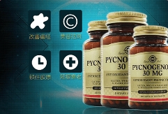 碧萝芷(pycnogenol)