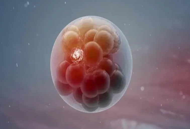 试管婴儿最痛苦过程是	