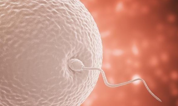 石河子大学一附院试管婴儿花费是多少，最新试管报价出炉	