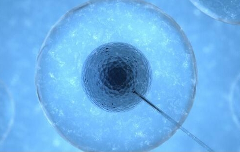 大同三院试管婴儿指南：2024助孕成功率与费用为你一一解答	