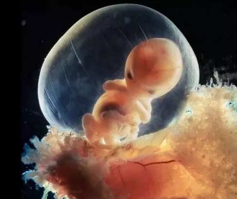 2024洛阳妇幼保健院试管婴儿成功率如何？70％的夫妇成功受孕	