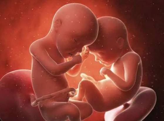 2024洛阳妇幼保健院试管婴儿成功率如何？70％的夫妇成功受孕	