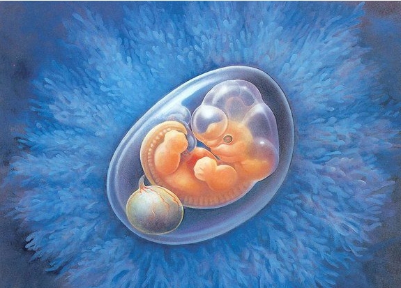 岳阳妇幼保健院做试管婴儿怎么样？正规合法值得选择	