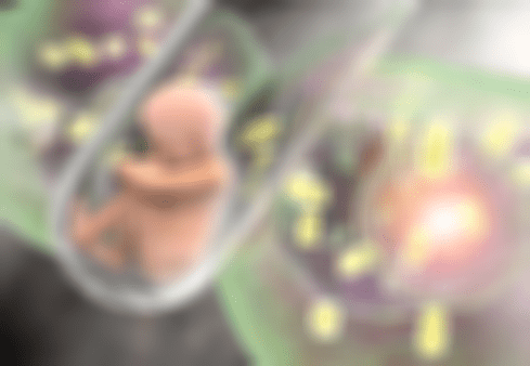 11.png
