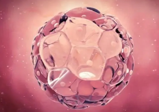 hpv55阳性能做试管吗？hpv56阳性可以做试管婴儿吗？	