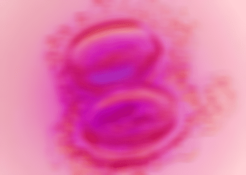 弱精症调理之后做试管能提高胚胎的质量吗？