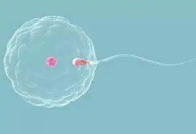 HPV18 型 DNA 弱阳性可以做试管吗？