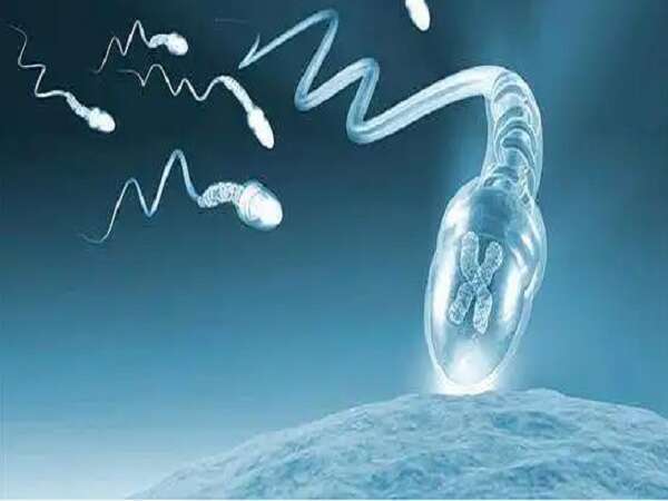 2025 成都试管婴儿费用明细曝光，一次试管助孕费用真不贵