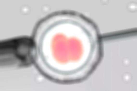 17.jpeg