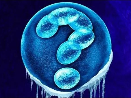 试管取卵后三天和五天移植有区别吗？成功率和风险方面都有不同