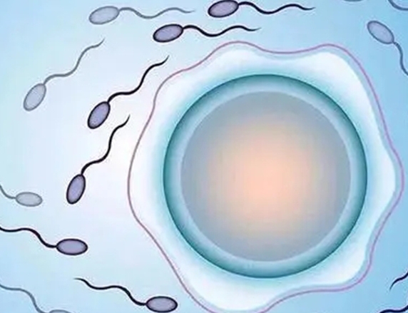 在盐城妇幼保健院做试管的费用及各项目收费情况