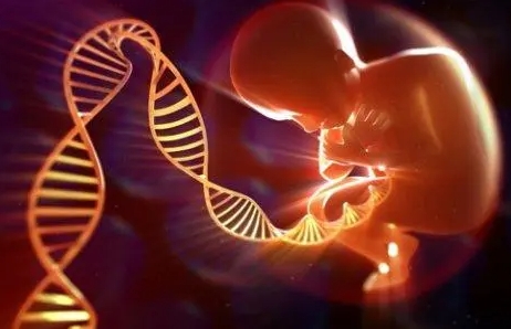 为什么很多人选择去泰国做试管？深度解析其技术优势