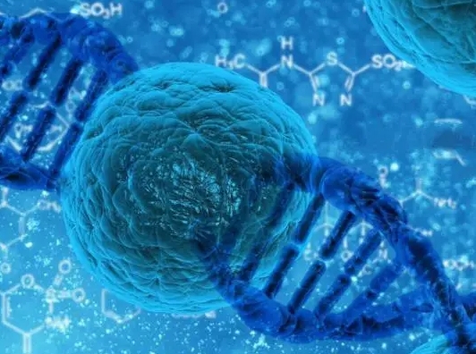 如何判断试管囊胚着床是否成功？排卵后这些症状要留意