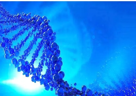 试管人工周期那些事儿：排卵后移植囊胚？这些检查很关键！