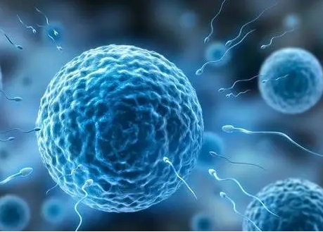 试管前的审慎思考：医学与经济的双重考量