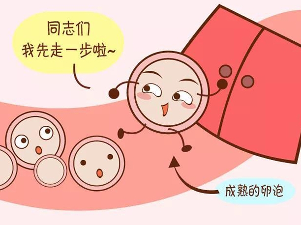 试管婴儿进周流程解读