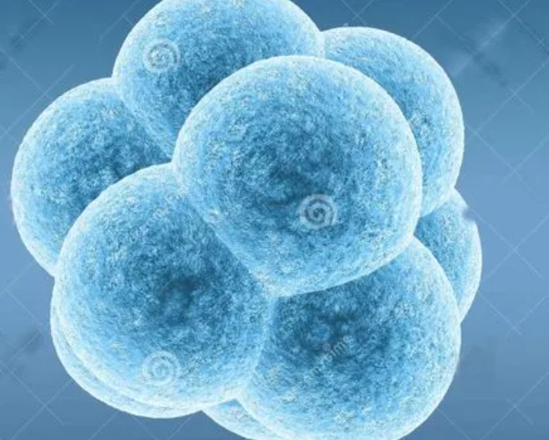 男方精子对试管婴儿有什么影响？良好的形态和活力能提高成功率